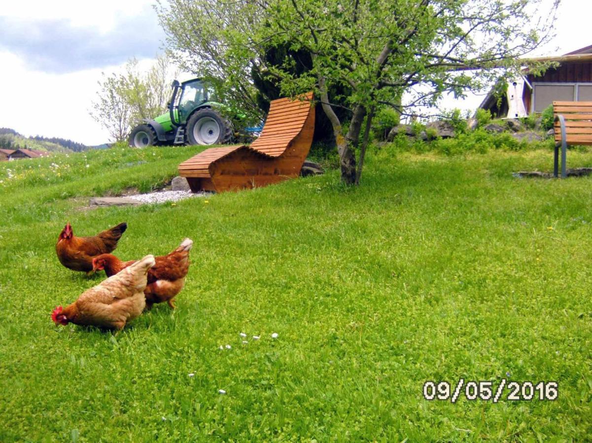 Ferienbauernhof Koepf Apartment Fussen Luaran gambar